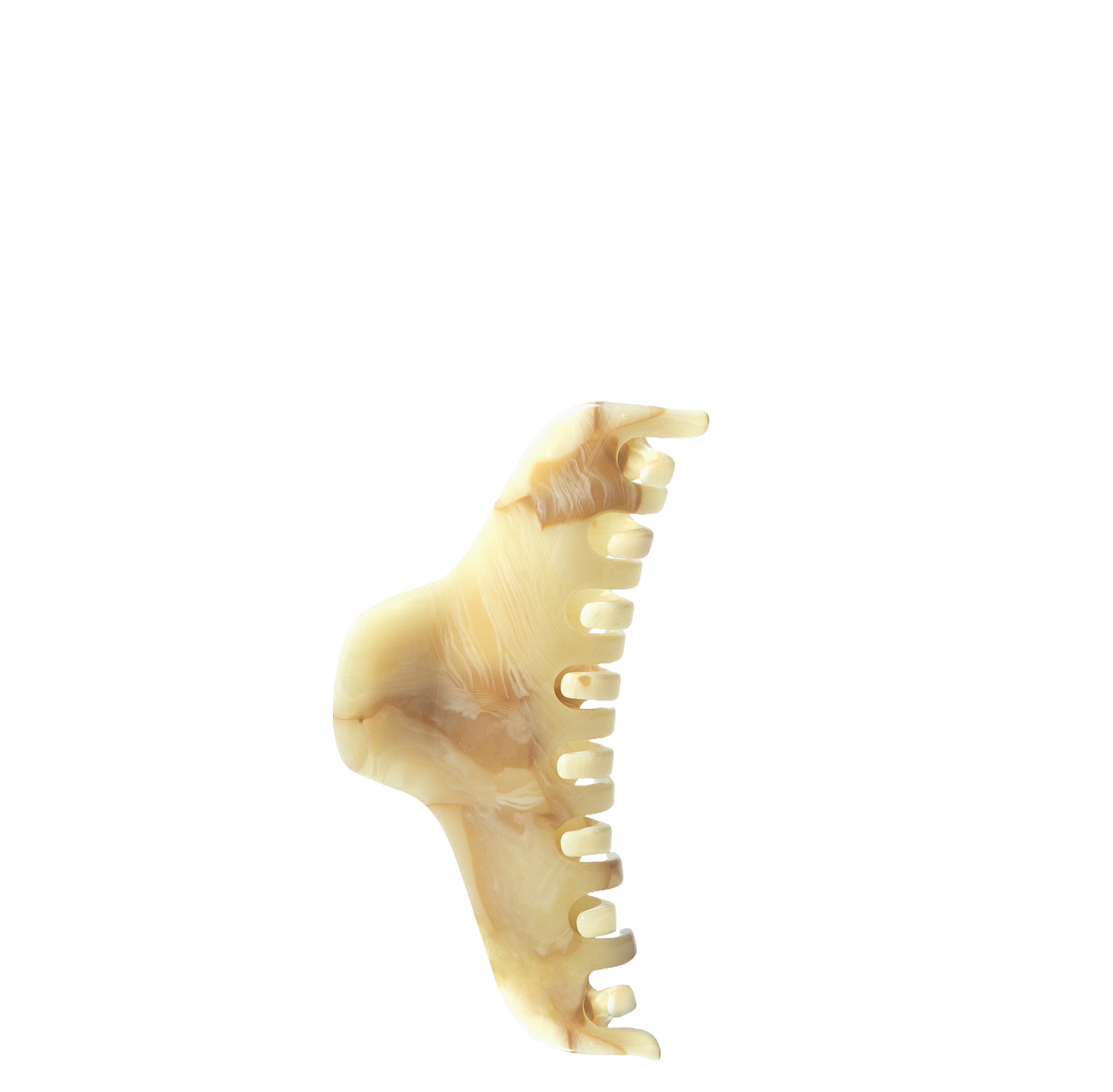 The Hair Claw nº1