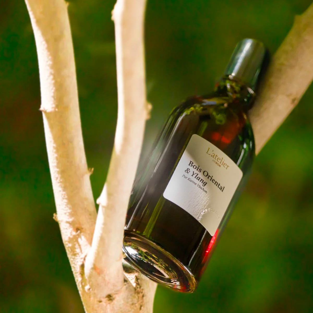 Bois Oriental & Ylang Eau De Parfum Intense