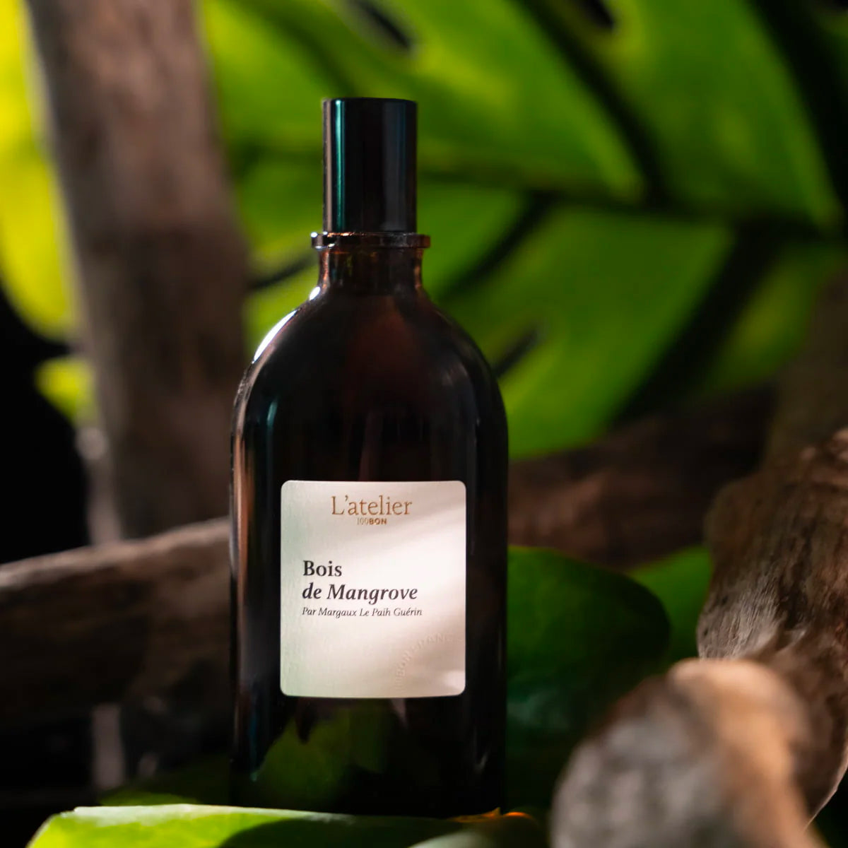 Bois de Mangrove Eau De Parfum Intense