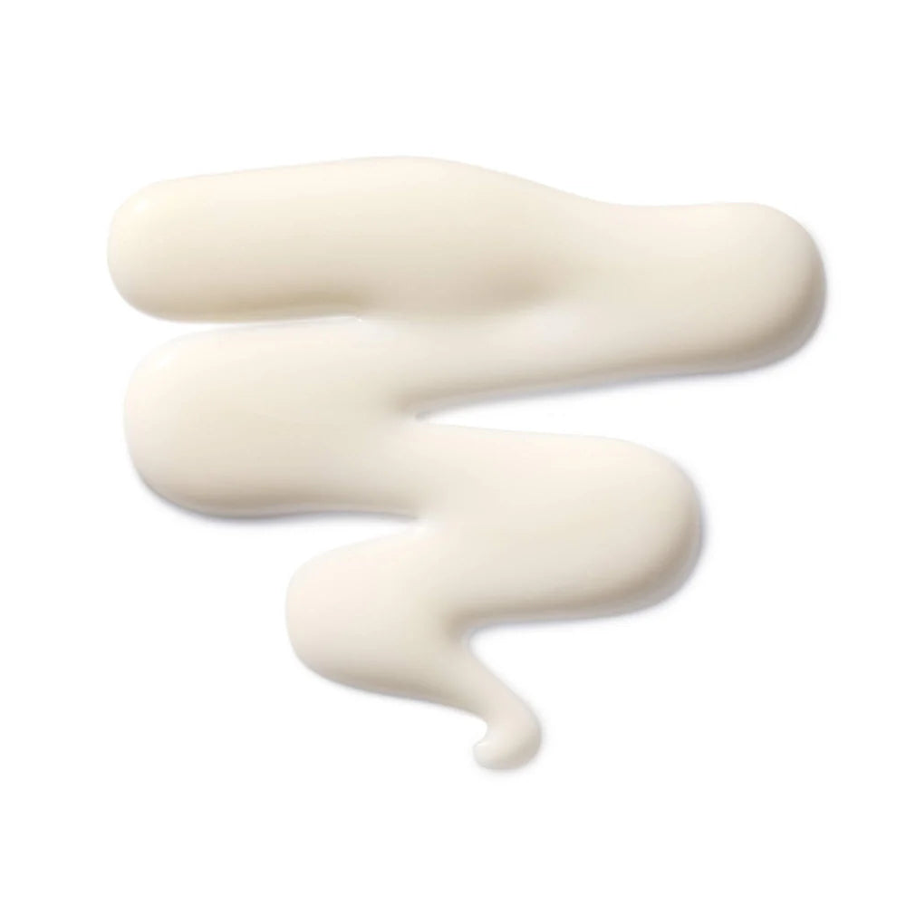 The Leave-In Hair Treatment 100 ml