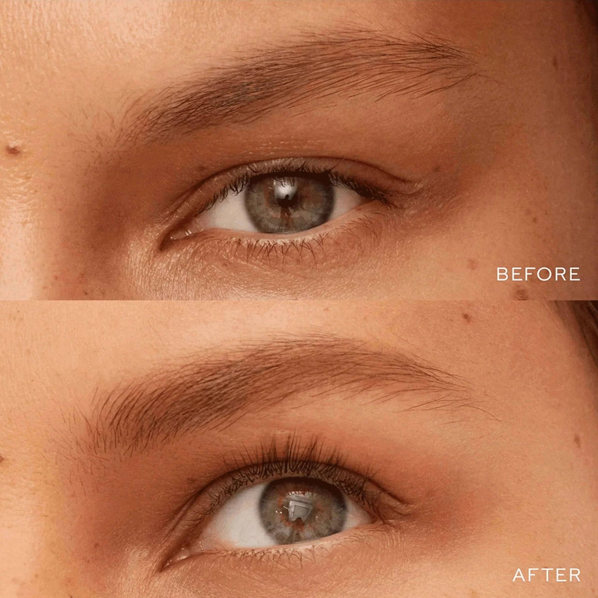 Defining Pencil Bonne Brow