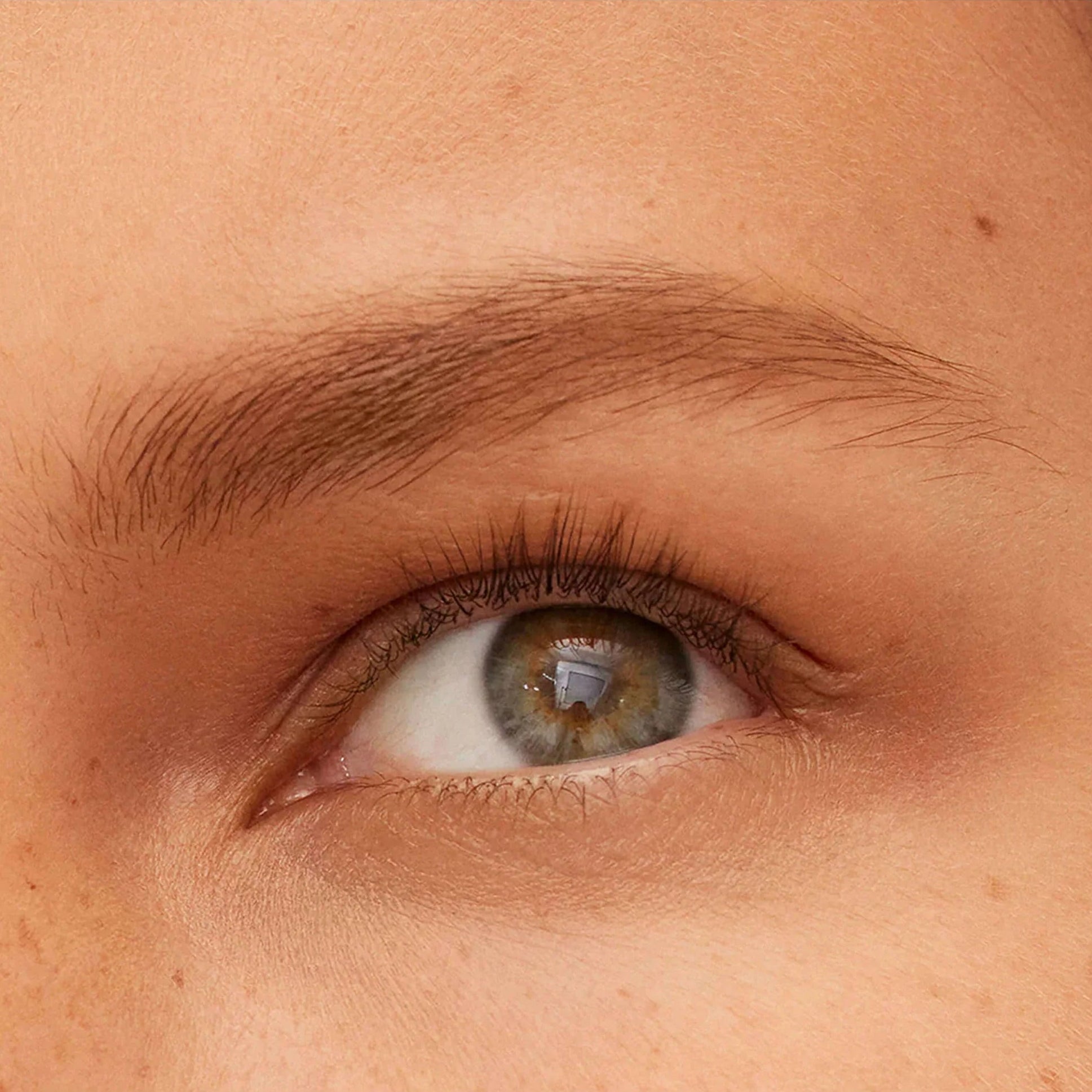 Defining Pencil Bonne Brow