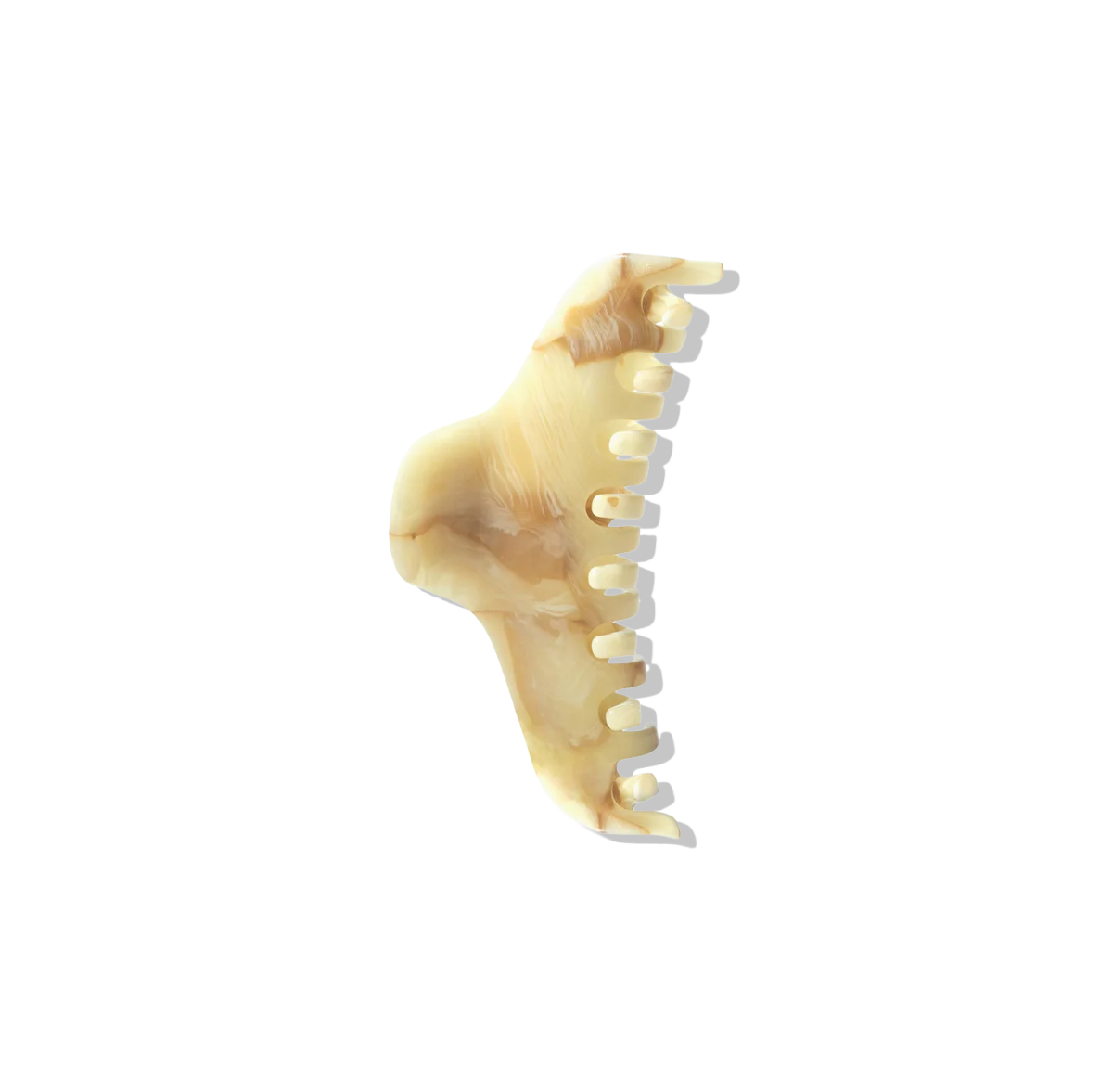 The Hair Claw nº1