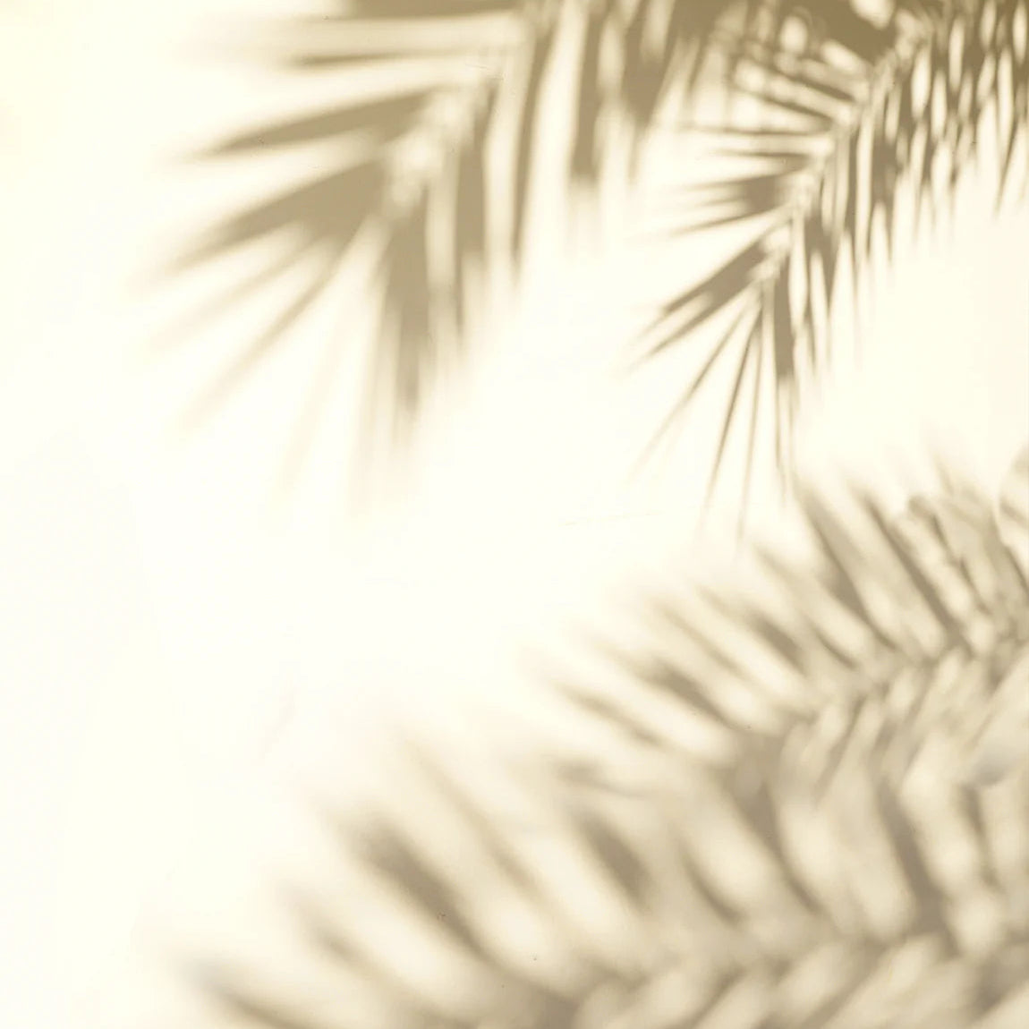 Aloha Ambrosia Morning Moisture Elixir