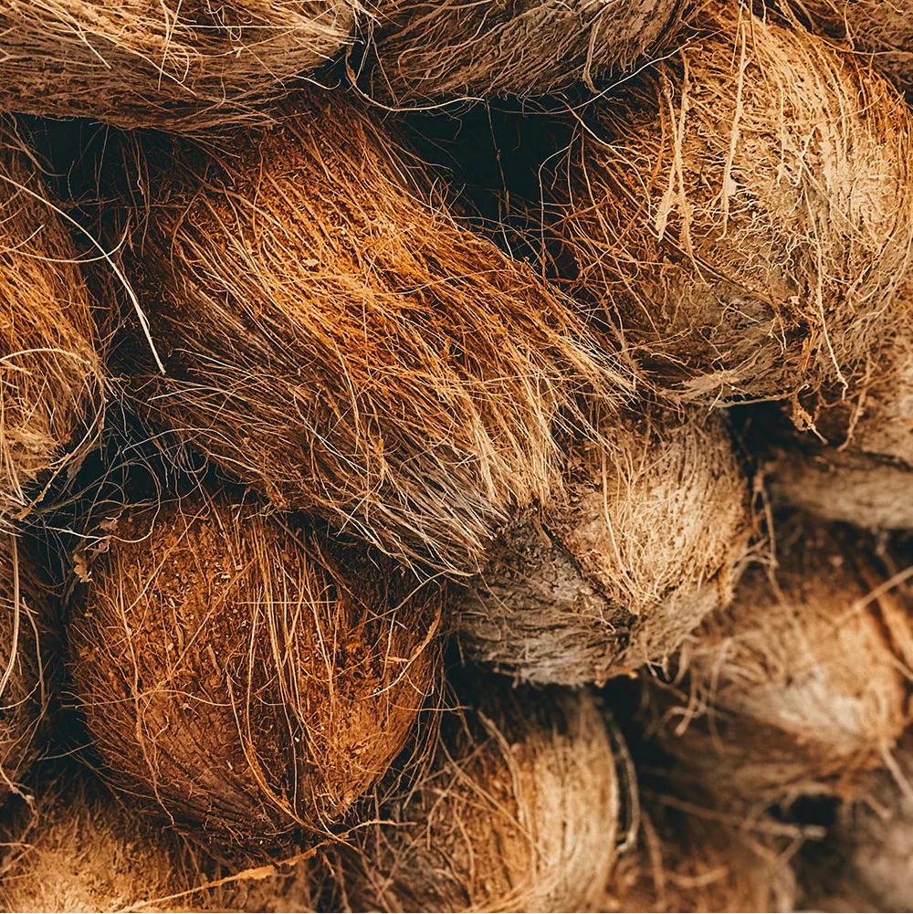 Mahana Coco Infusion