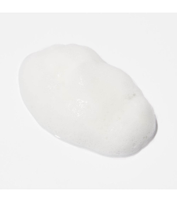 Refresh Dry Shampoo