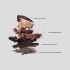 The Cocoa Collection Holiday Set