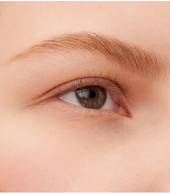 Defining Pencil Bonne Brow