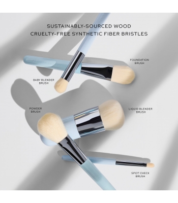 Complexion Brush Collection
